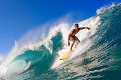 开云官网-森林狼的狂野与英格拉姆的优雅，当NBA的火焰遇上欧冠的冰霜