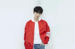 开云体育登录-突尼斯节奏掌控比利时，布鲁诺如何成为关键先生