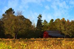 开云下载-布克赛后评分拉满背后，广东队加时险胜马刺的战术博弈与精神密码