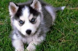 开云体育直播-钢铁防线上的艺术家，阿坎吉在英荷大战中诠释现代后卫的终极形态