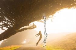 开云体育官网-从撒哈拉到塞纳河，阿尔及利亚绝杀埃及背后的足球哲学与姆巴佩的节奏革命