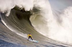 开云体育APP下载-库尔图瓦神级扑救封神，比利时3-0完胜亚特兰大展现实力碾压