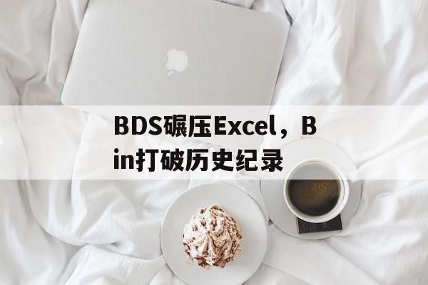 BDS碾压Excel,Bin打破历史纪录 BDS碾压Excel,Bin打破历史纪录