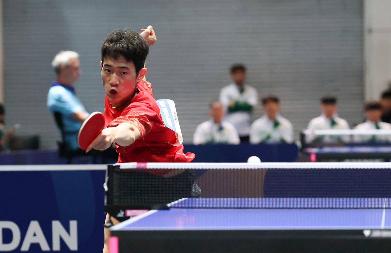 比利时乒乓球队翻盘法国乒乓球队，波尔爆发神勇的简单介绍