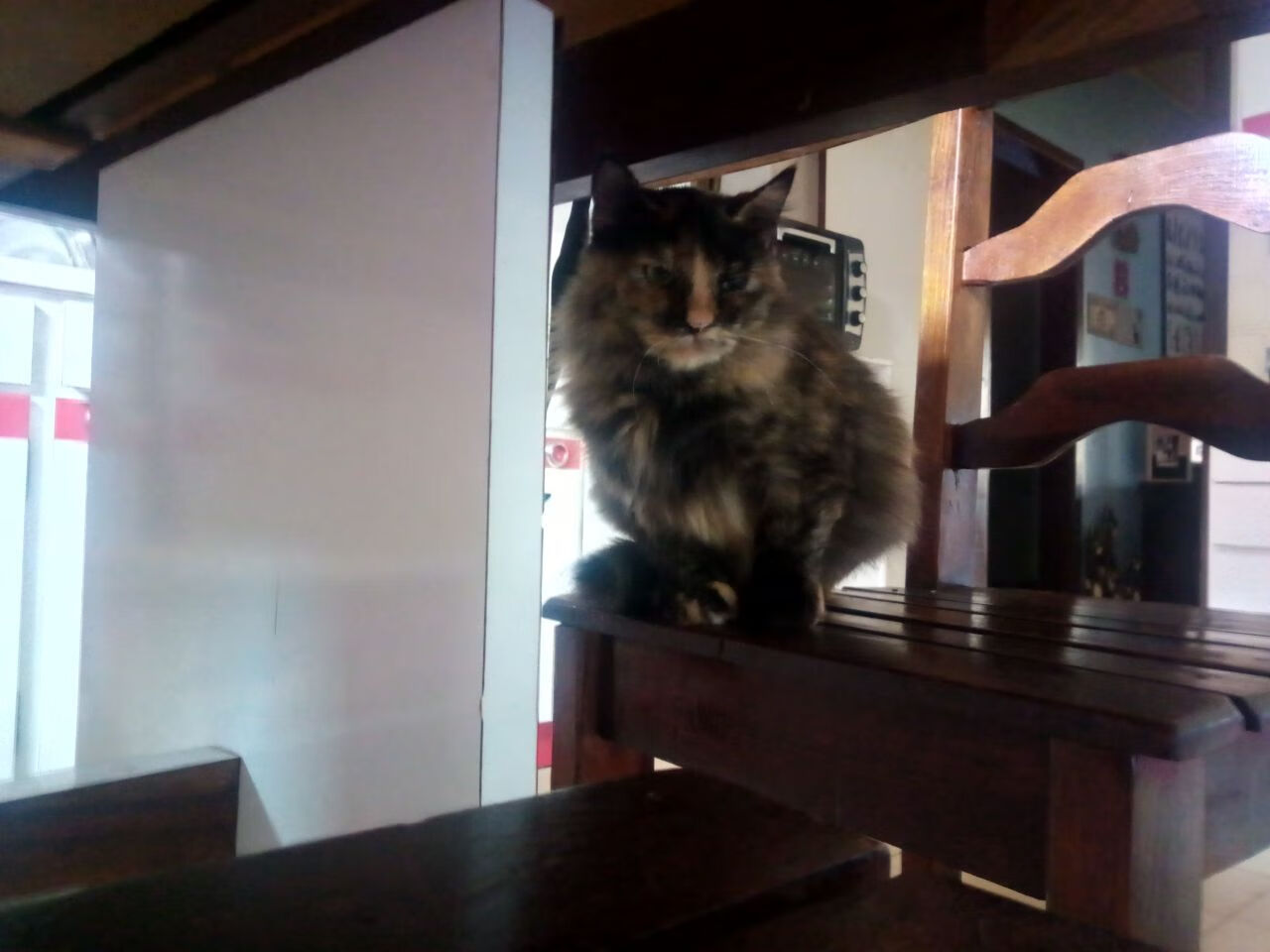 伊萨克一剑封喉成胜负手,乌拉圭坚韧斩落秘鲁